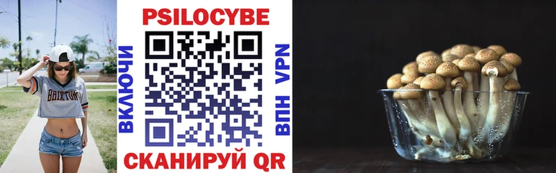 Галлюциногенные грибы прущие грибы  Нестеровская 